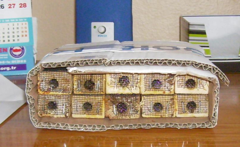 [7haziran20090000.JPG]