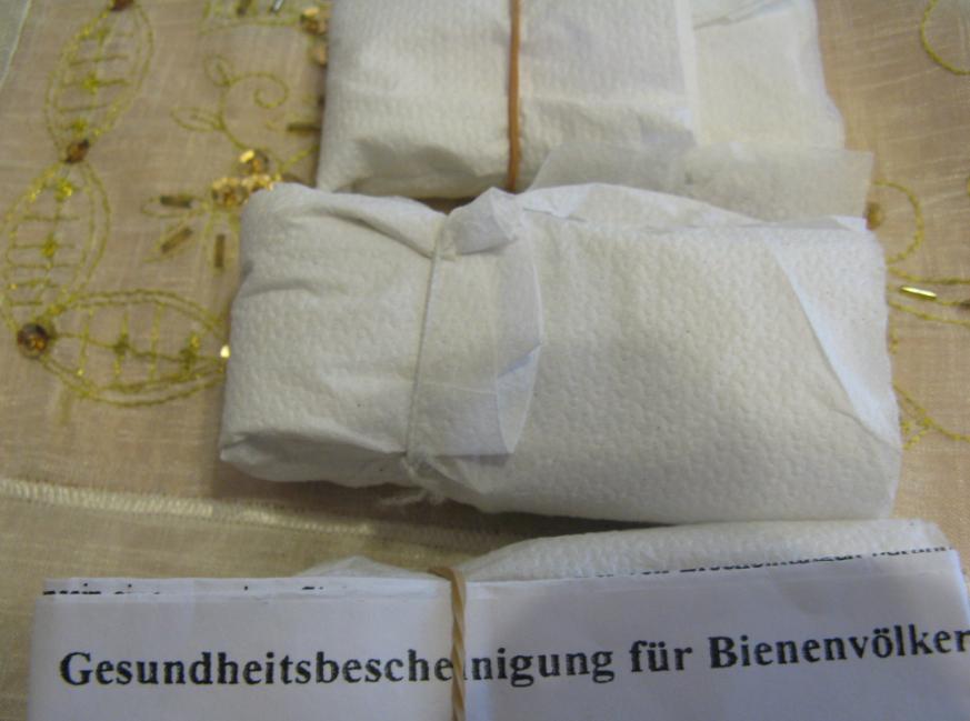 [22haziran2009mehmetyuksel.JPG]