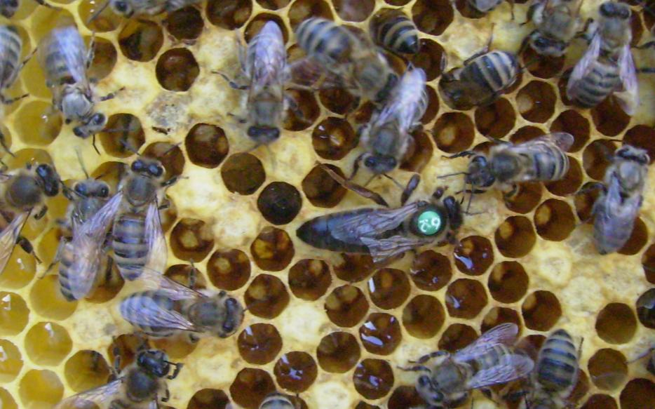 [SAFKARNÄ°YOL62Y.JPG]