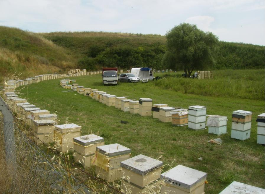 [28haziran200903.JPG]