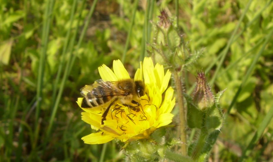 [28haziran200904.JPG]