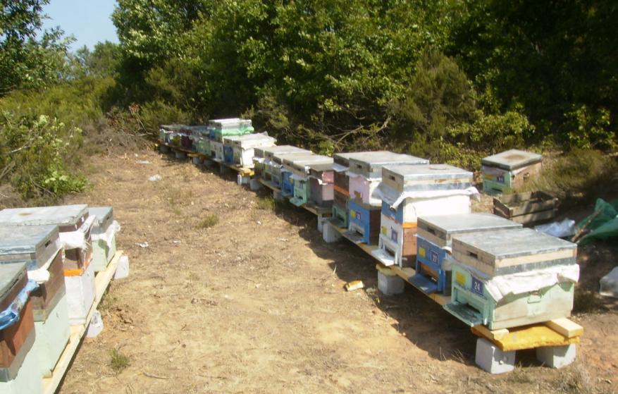 [3eylÃ¼l200904.JPG]