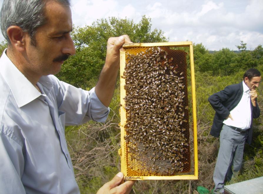 [18eylÃ¼l200903.JPG]