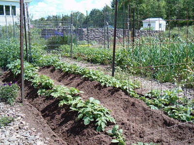 2009 june dirt