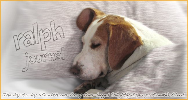 ralphjournal - every dog needs a blog