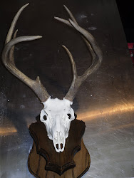 Kevin Taylor's 2010 Buck
