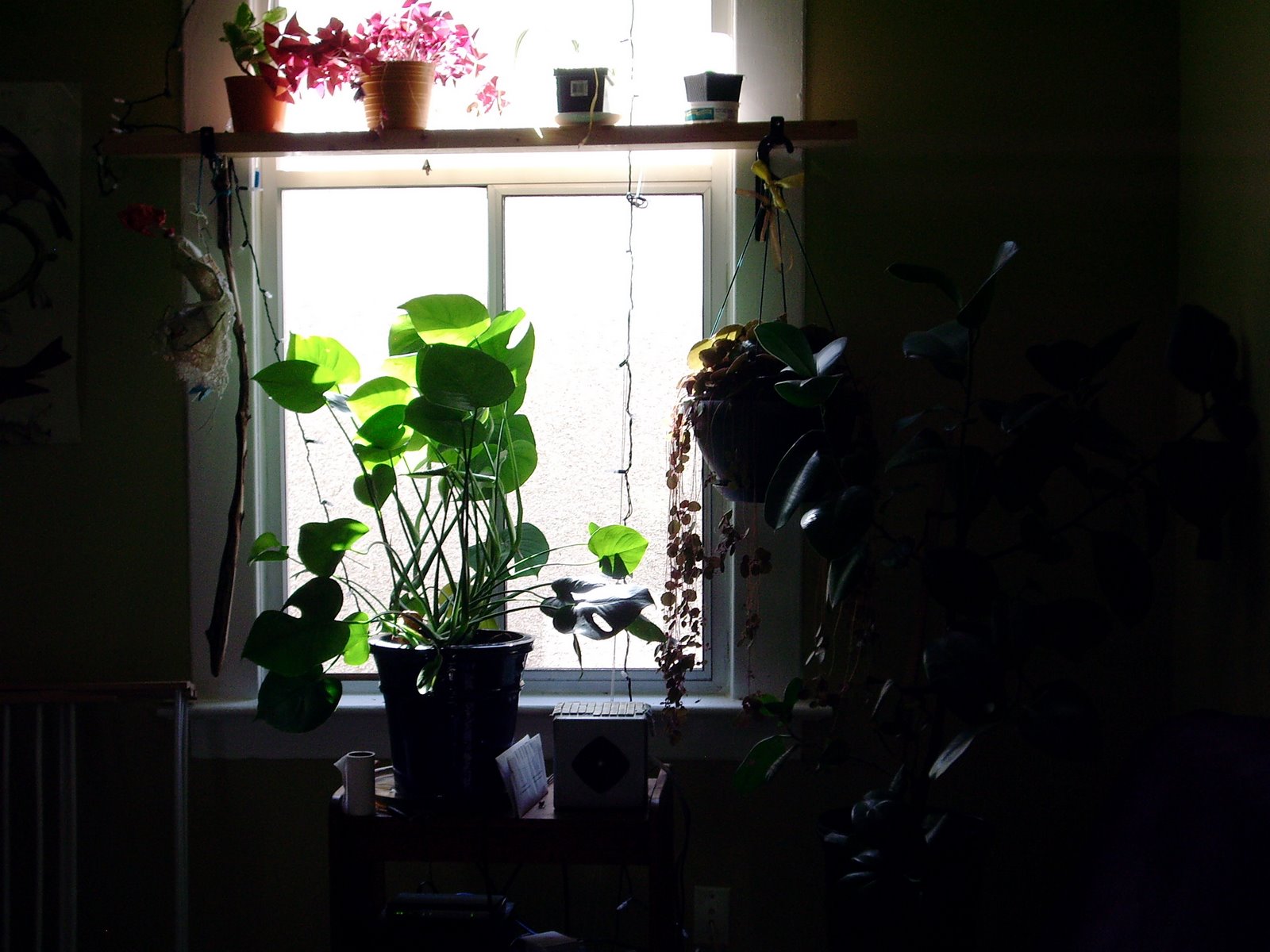 [window.jpg]