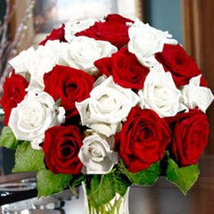 Cute white and Red roses hot image
