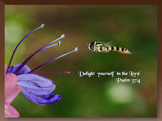 Delight yourself in the lord verse hd(hq) wallpaper free download Jesus Christ images
