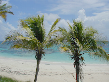Dream Dictionary Beach | RM. Dream Dictionary Beach | RM.