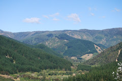 Takaka Hill