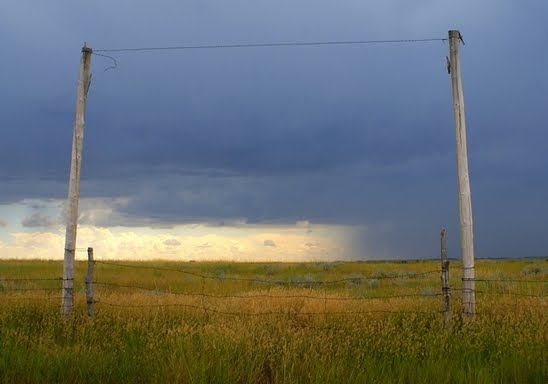 Going home from the hayfield