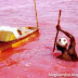 Inilah Danau Yang Berwarna Pink Dan Mengandung Garam Di Senegal Kita Awali Dengan