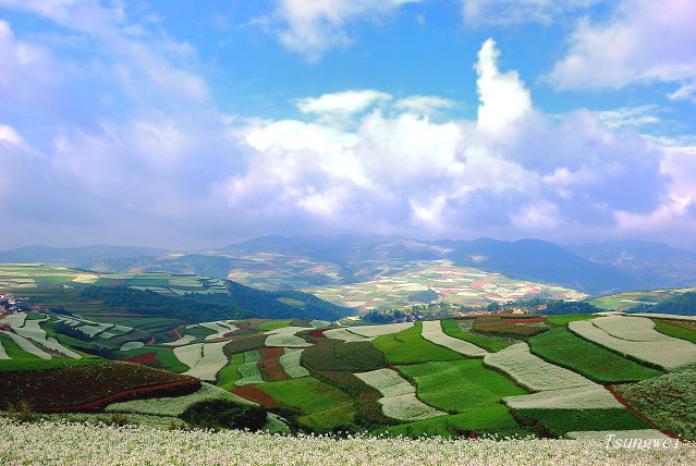 wallpaper pemandangan. Wallpaper+pemandangan+laut