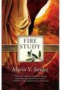 [fire+study.jpeg]