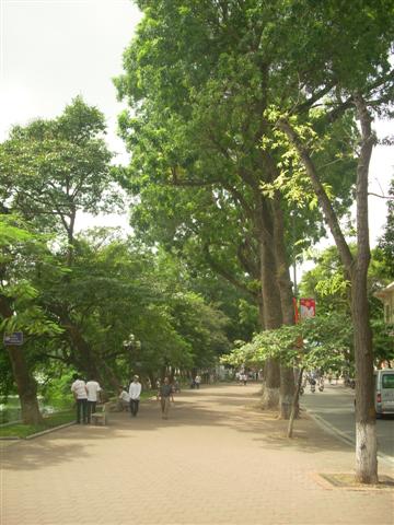 [DSCN1060+(Small).JPG]