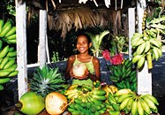 © O.T. des Seychelles