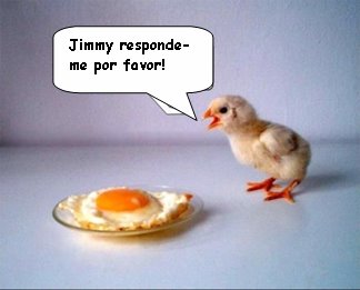 [pinto.bmp]