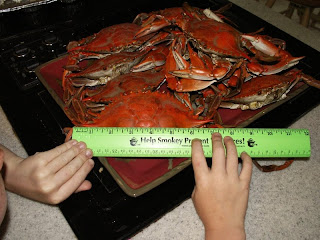 plate of cooked crabs