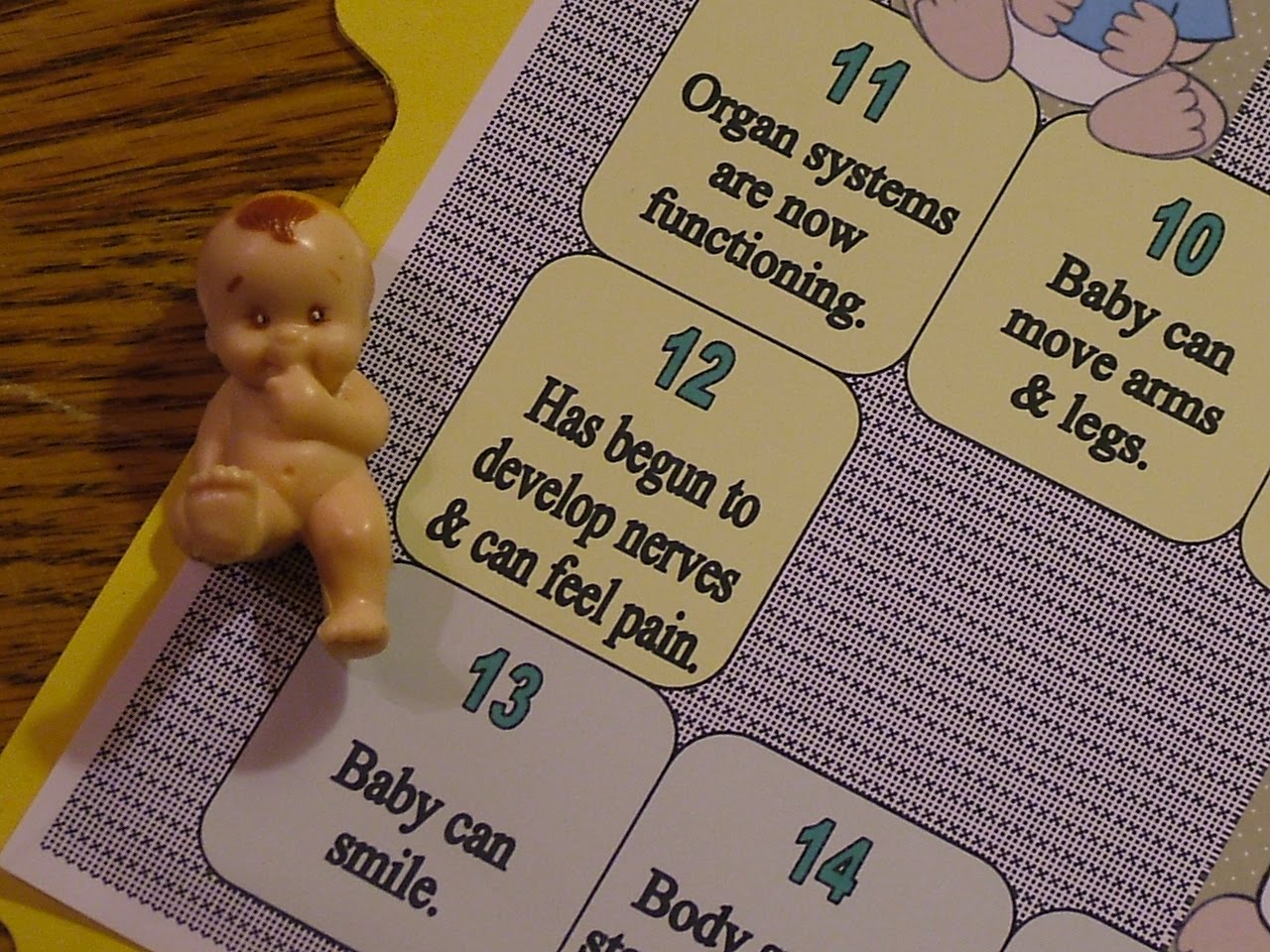 [prolife4.JPG]