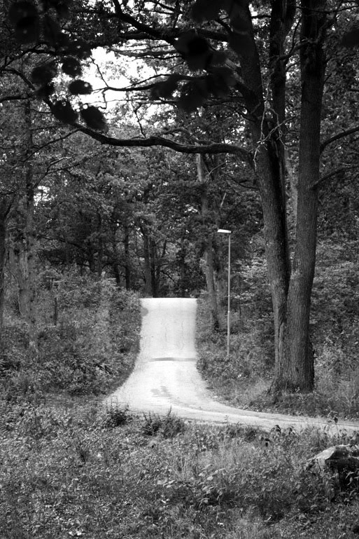 [IMG_1365_väg_vb.jpg]