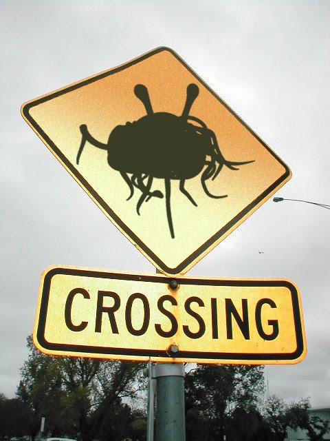 [fsm_crossing.jpg]