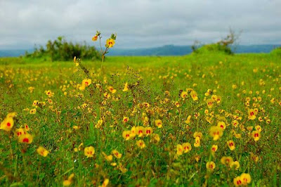 Kas Plateau