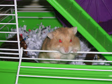 Oswald