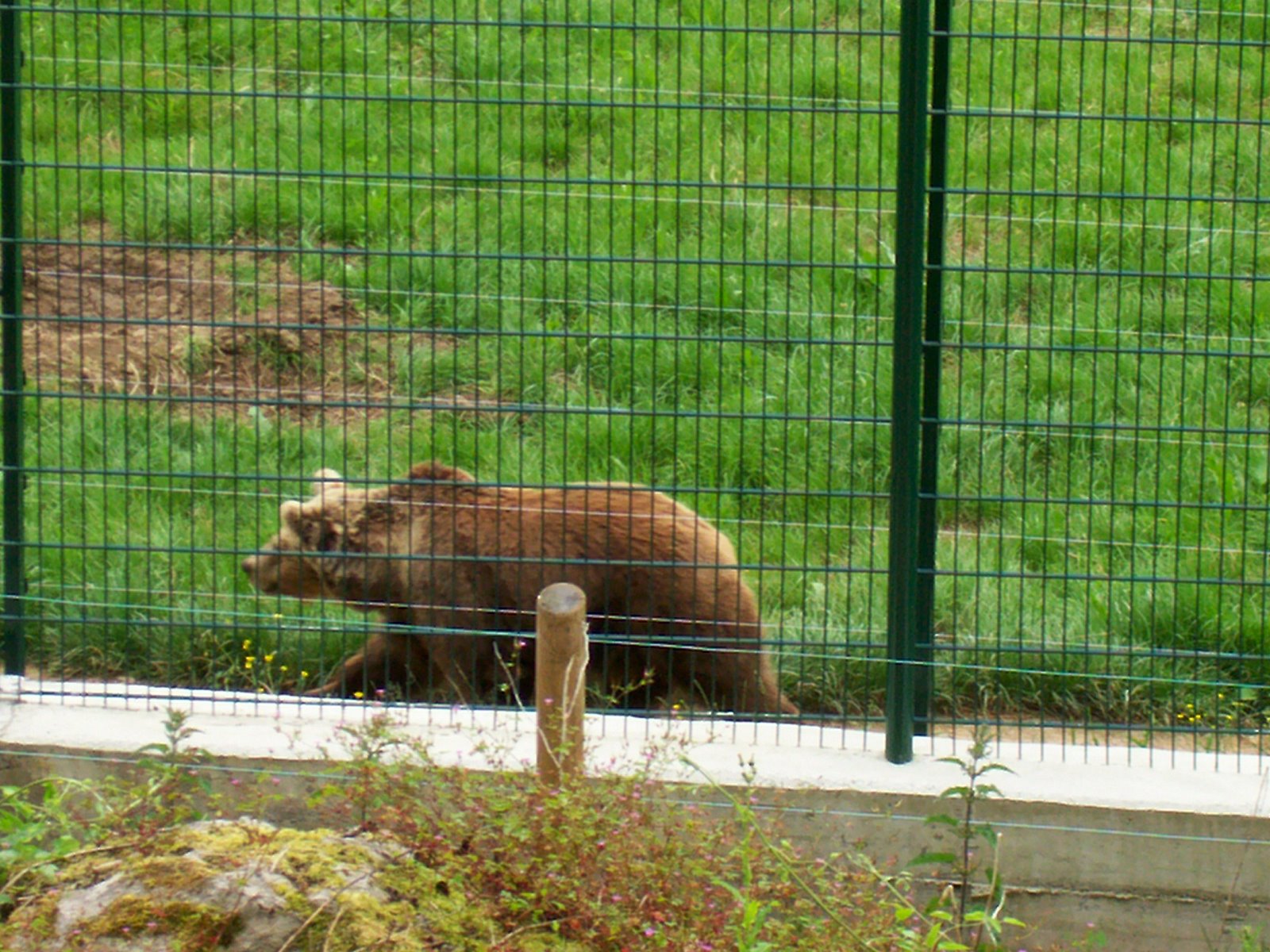 [Tola,+Furacu+y+Paca+02.jpg]