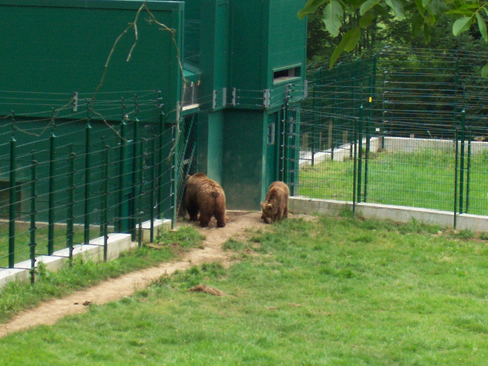 [Tola,+Furacu+y+Paca+04.jpg]