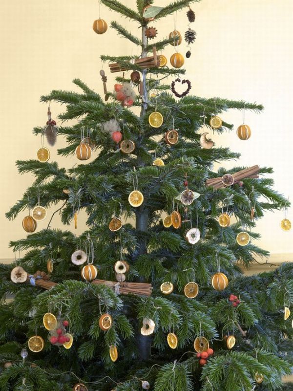 Sample Christmas Tree Fruits Decoration New Ideas