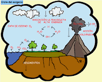 Ciclo del carbono