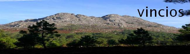 VINCIOS