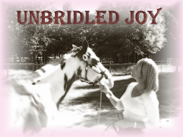 Unbridled Joy