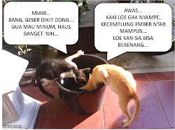 Kucing Bantet