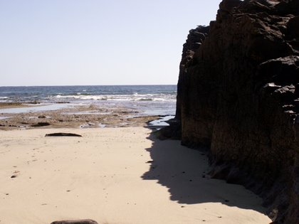 [PICT0765.JPG]