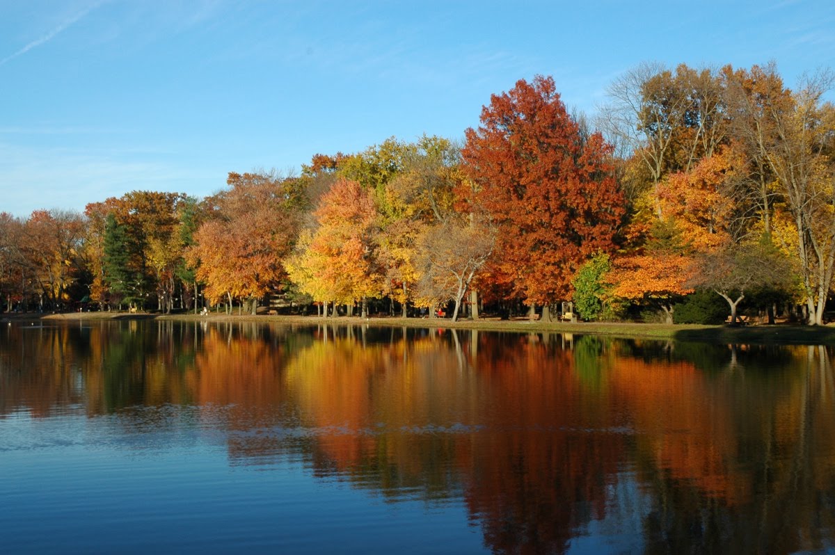 Southborough, MA Home Sale Trends and Analysis