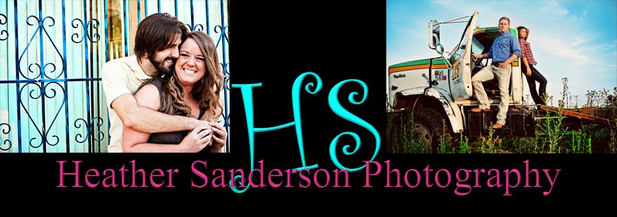 Heather Sanderson Photography