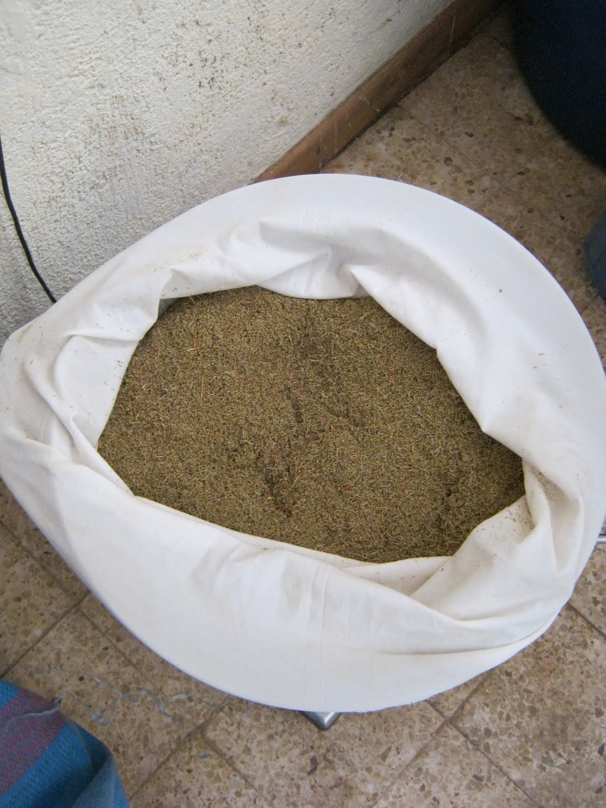 La Vraie Verte Maceration Day 1