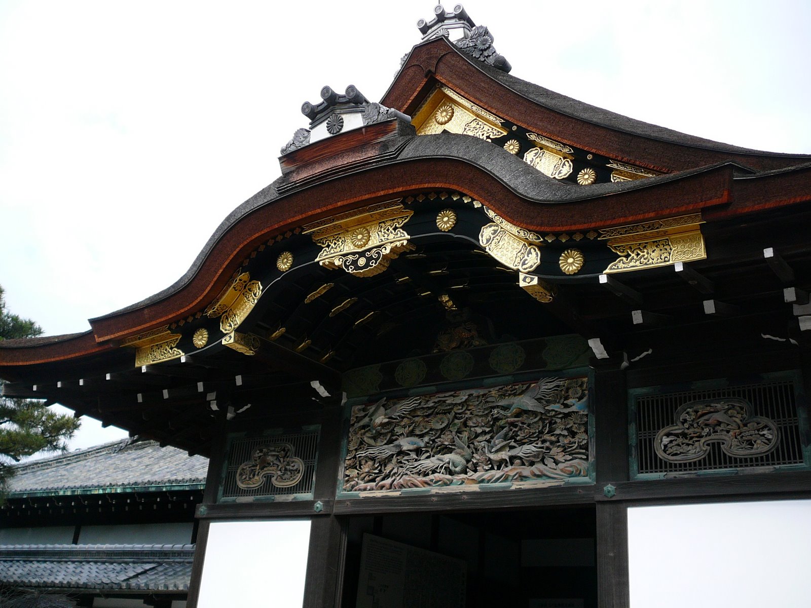 [P1030166.JPG]