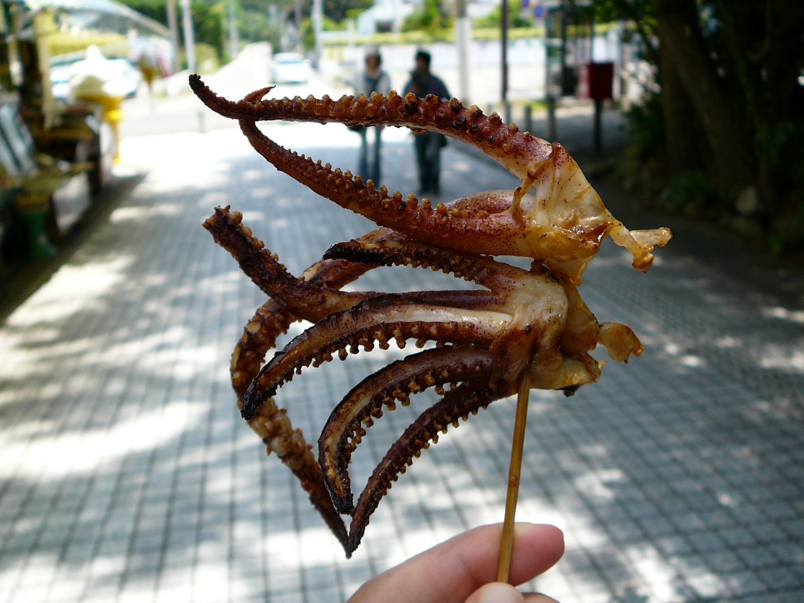 [P1110360.JPG]
