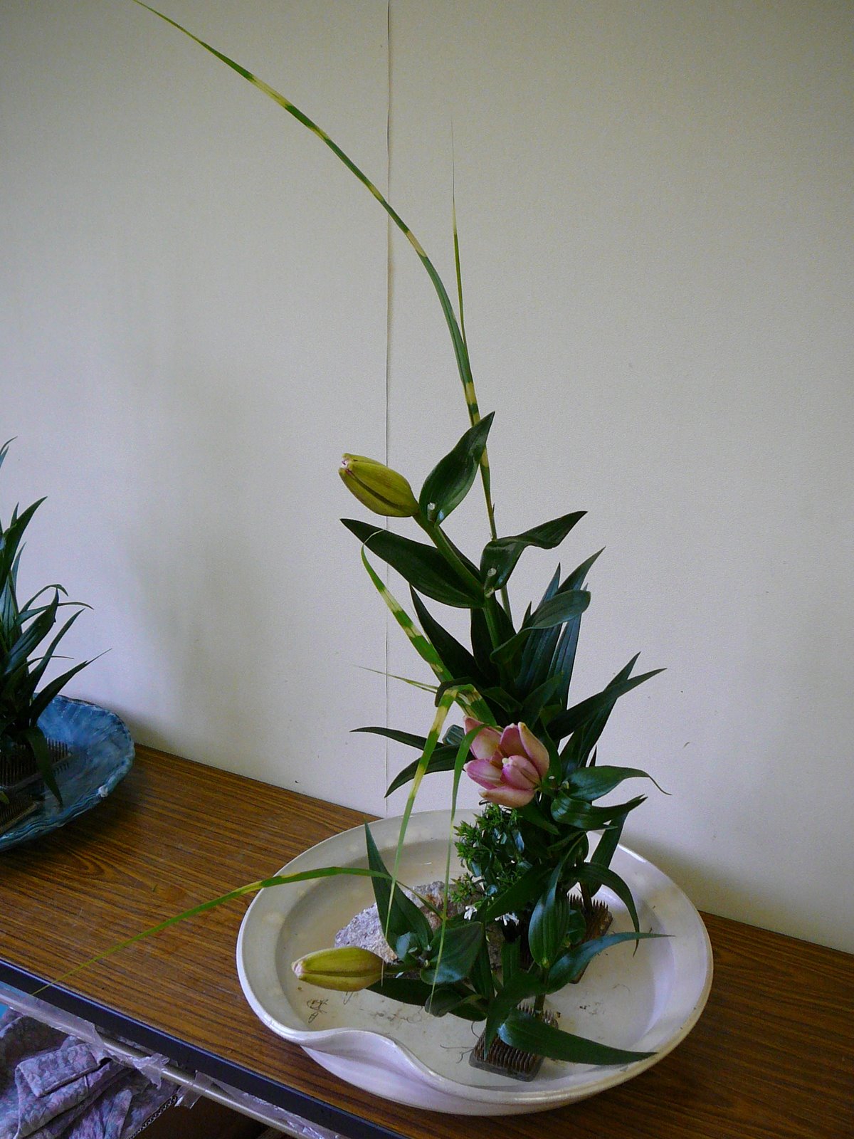 [P1110508.JPG]