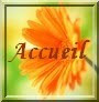 Accueil