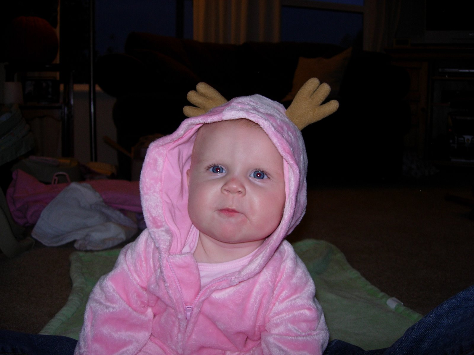 [DSCN2354.JPG]