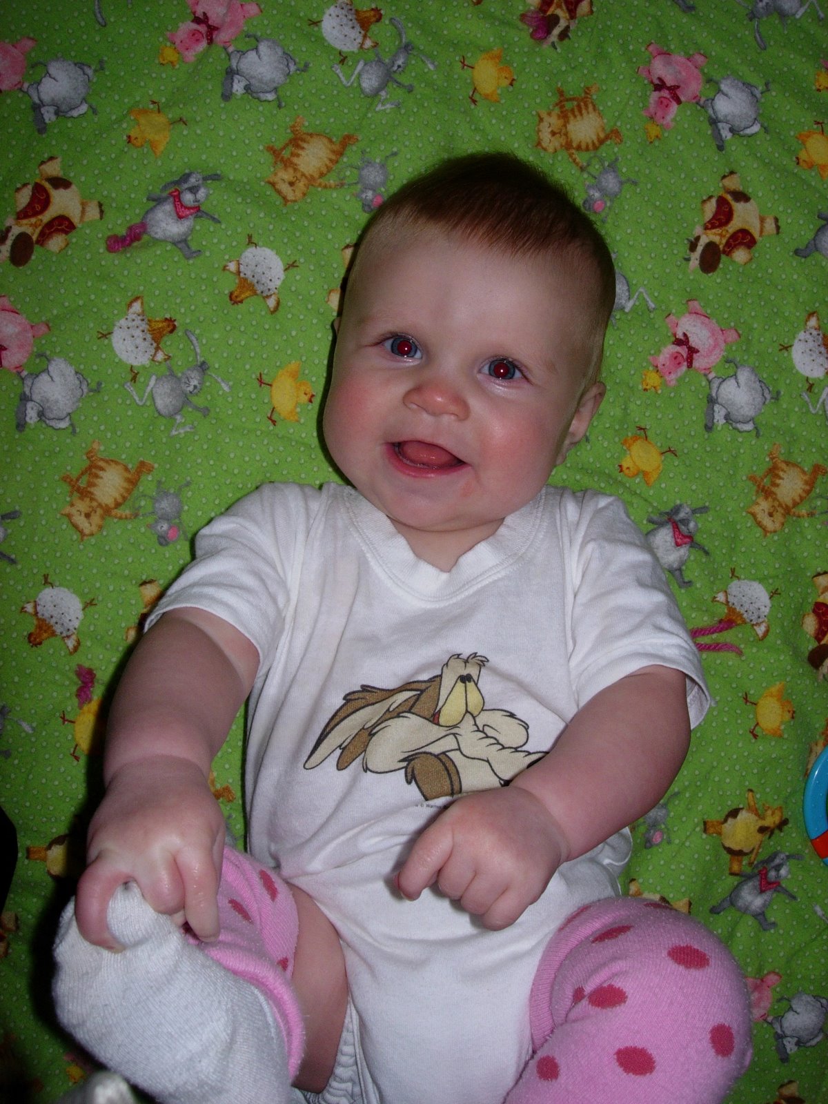 [DSCN2377.JPG]