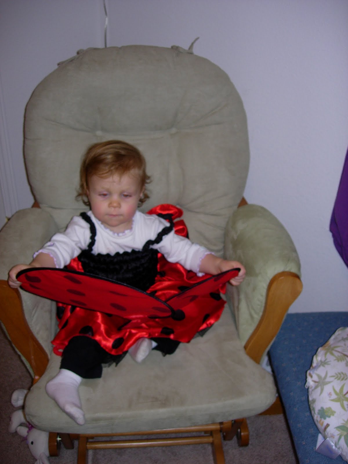[DSCN2747.JPG]