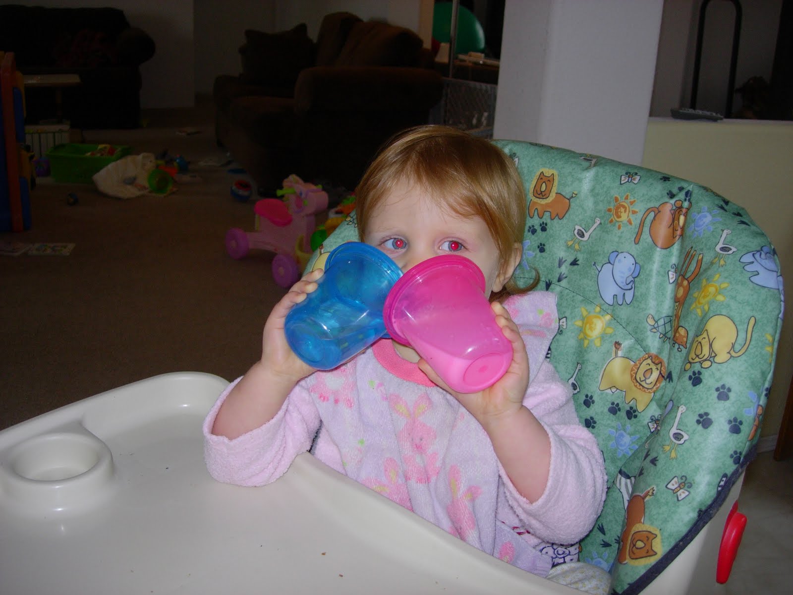[DSCN2755.JPG]