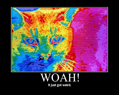 Woah+(2).jpg