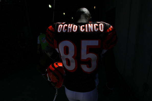 Ochocinco Love Him?  or Hate Him?