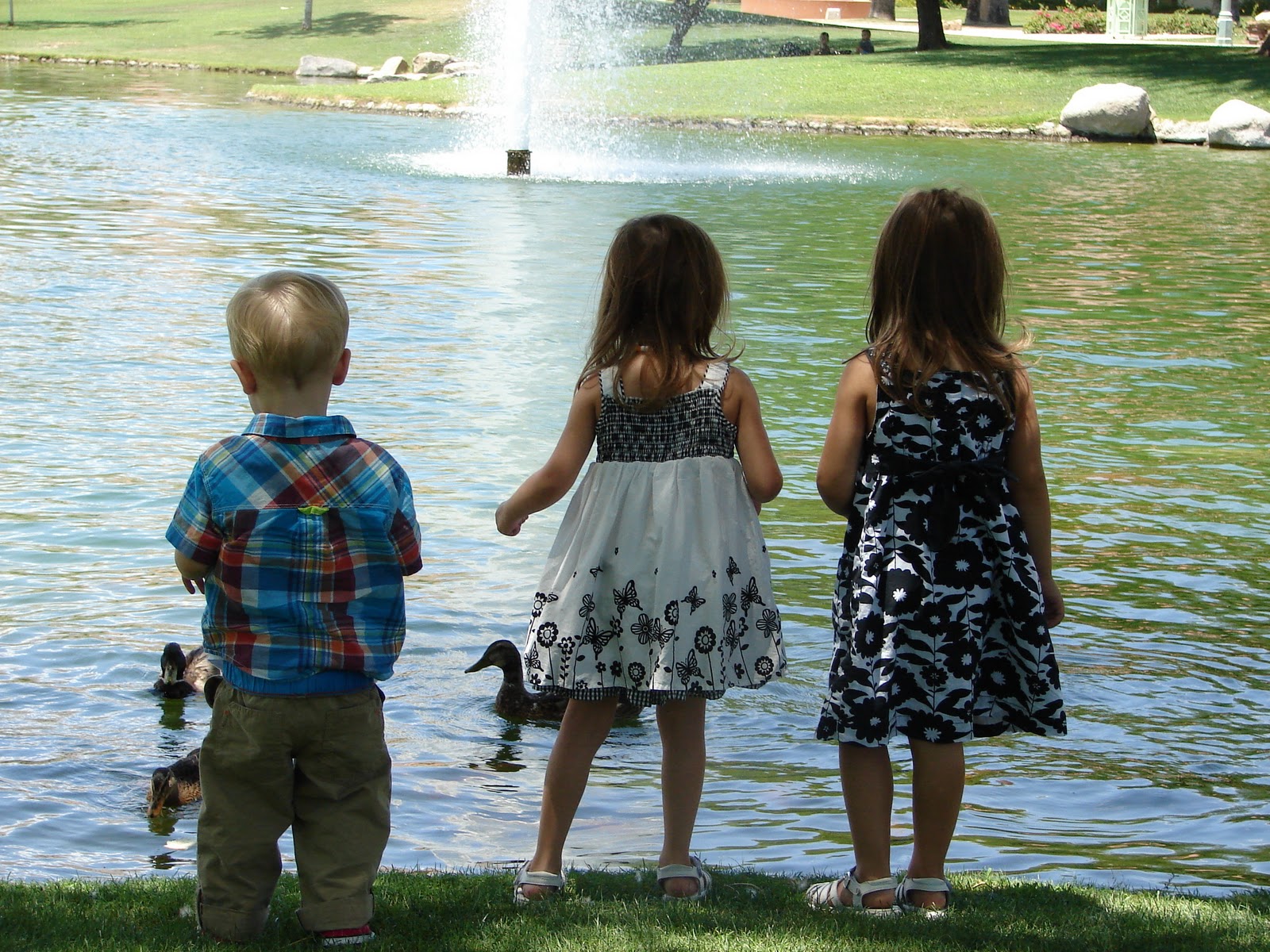 California Childrens' Concierge Wellness Wheel